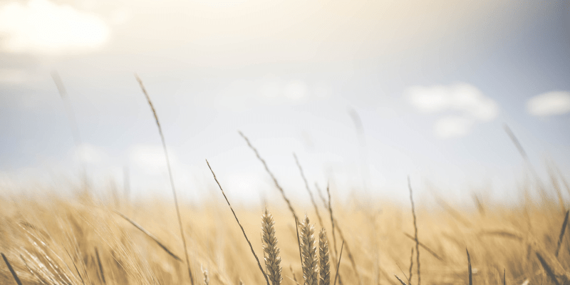 that picture you and me